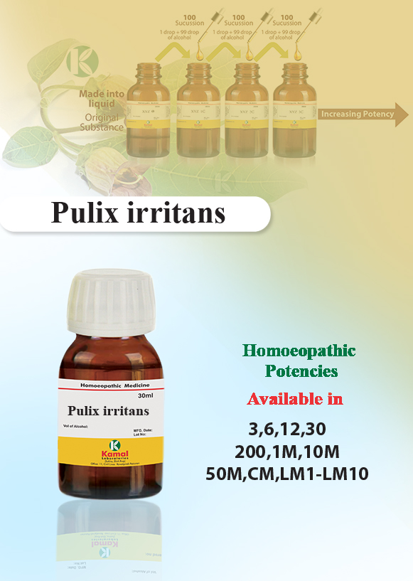Pulix irritans