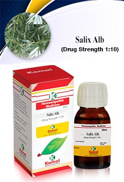 SALIX ALB Ã˜