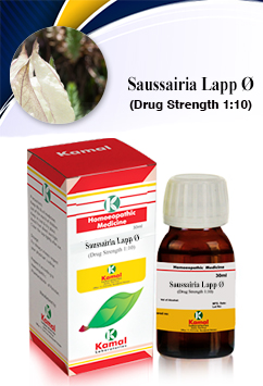 SAUSSAIRIA LAPP Ã˜