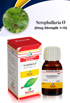 SCROPHULLARIA Ã˜