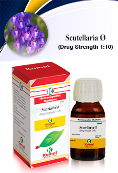 SCUTELLARIA Ã˜