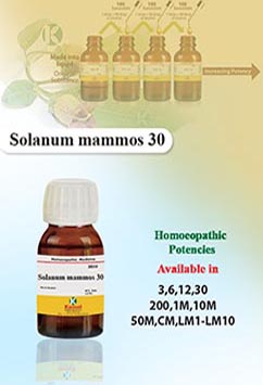 Solanum mammos