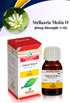 STELLAARIA MEDIA Ã˜