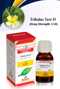 TRIBULUS TERR Ã˜