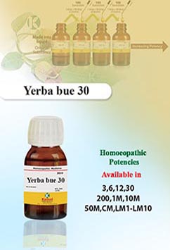 Yerba bue