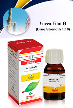 YUCCA FILM Ã˜